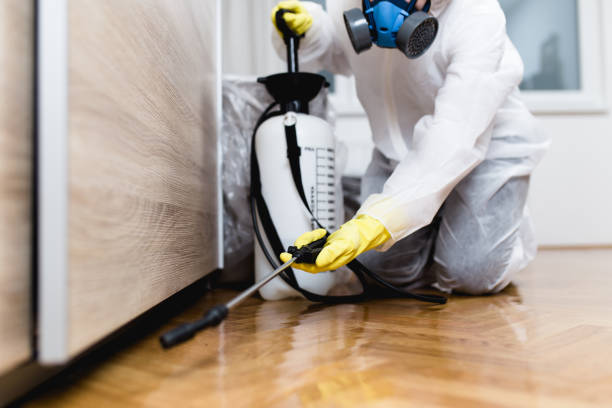 Best Local Pest Control Services  in Bel Nor, MO