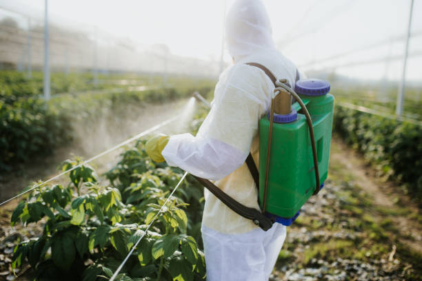 Best Residential Pest Control  in Bel Nor, MO